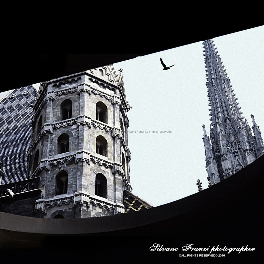 St. Stephen's Cathedral (Stephansdom) - Wien.    Next page